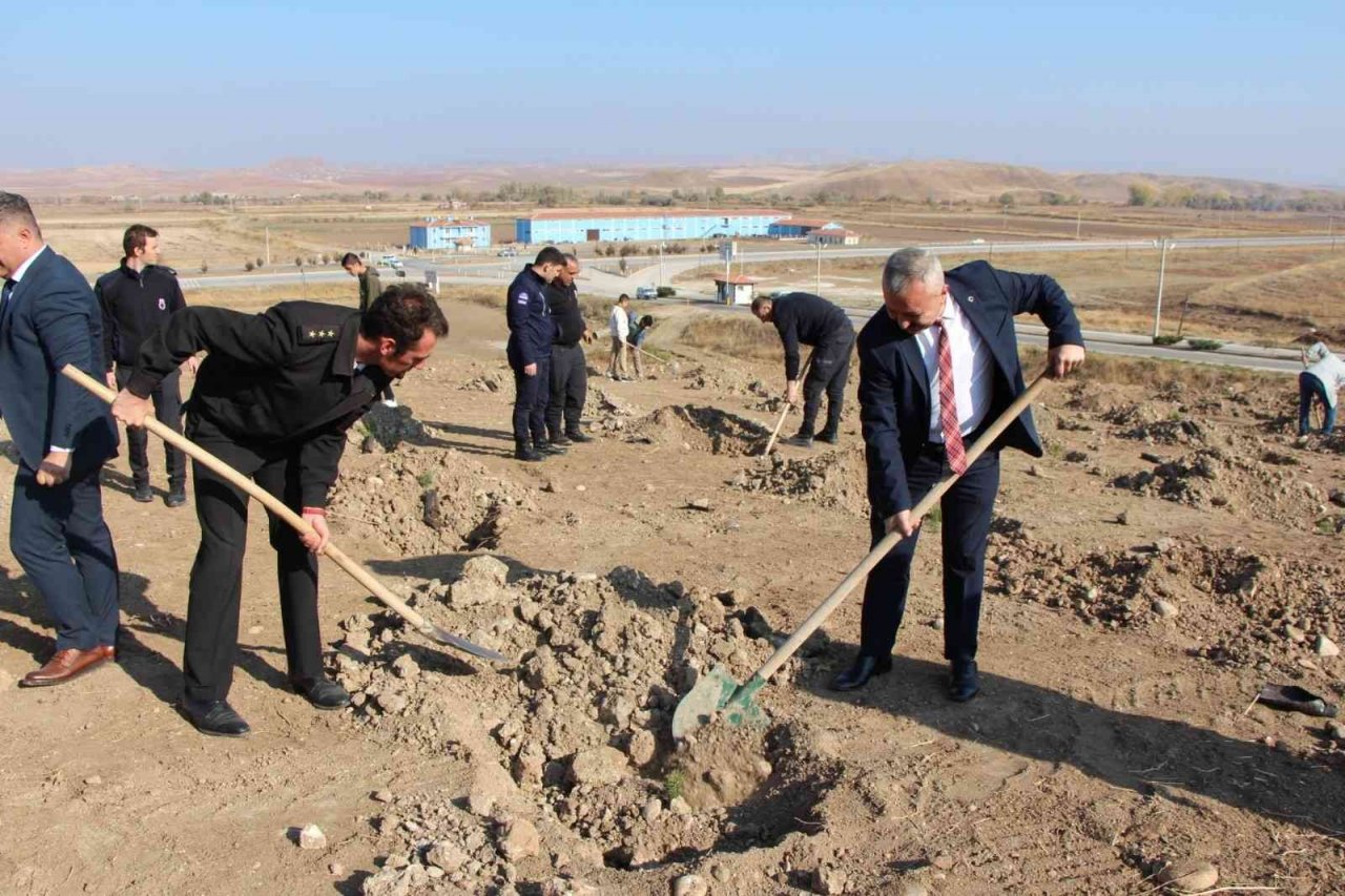 Sungurlu’da 800 fidan toprakla buluştu