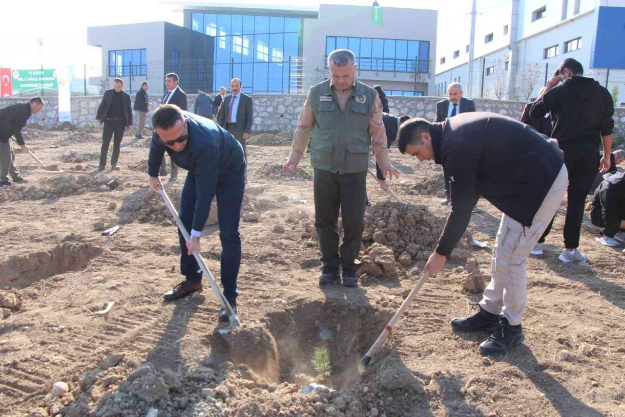 Sungurlu’da 800 fidan toprakla buluştu