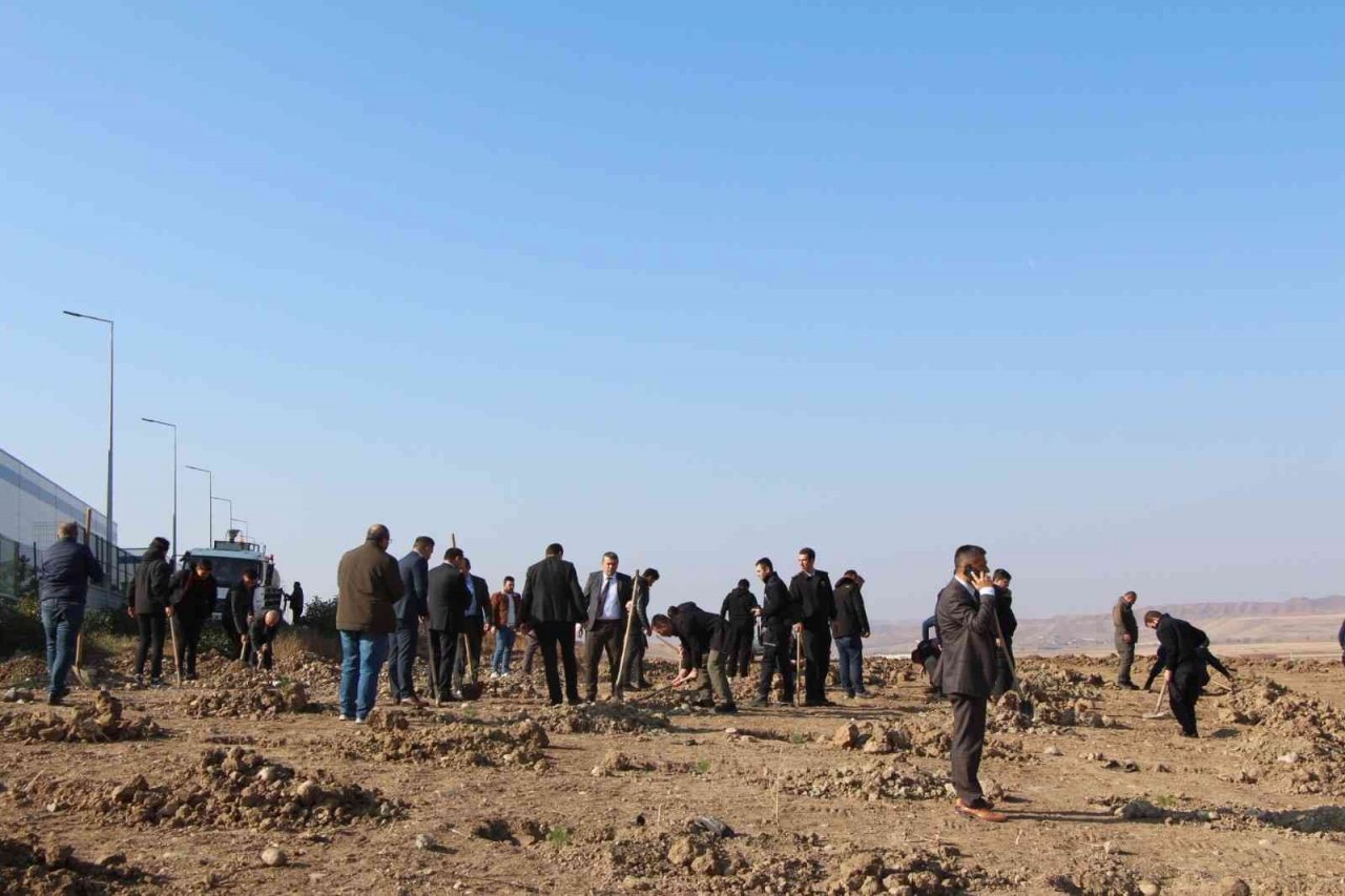 Sungurlu’da 800 fidan toprakla buluştu