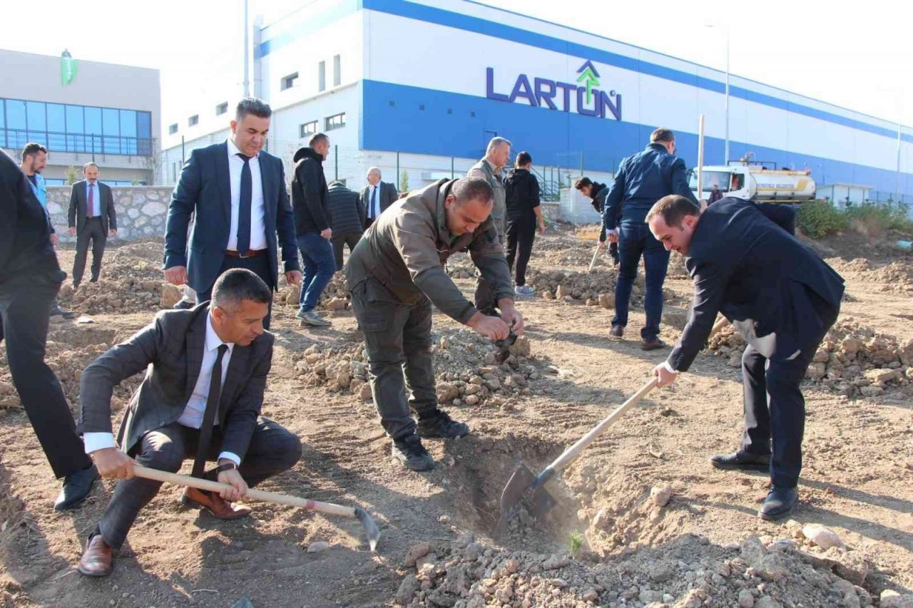 Sungurlu’da 800 fidan toprakla buluştu