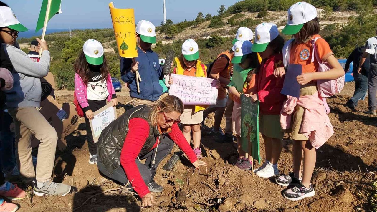 Datça’da bin adet harnup ve kızılçam fidanı dikildi