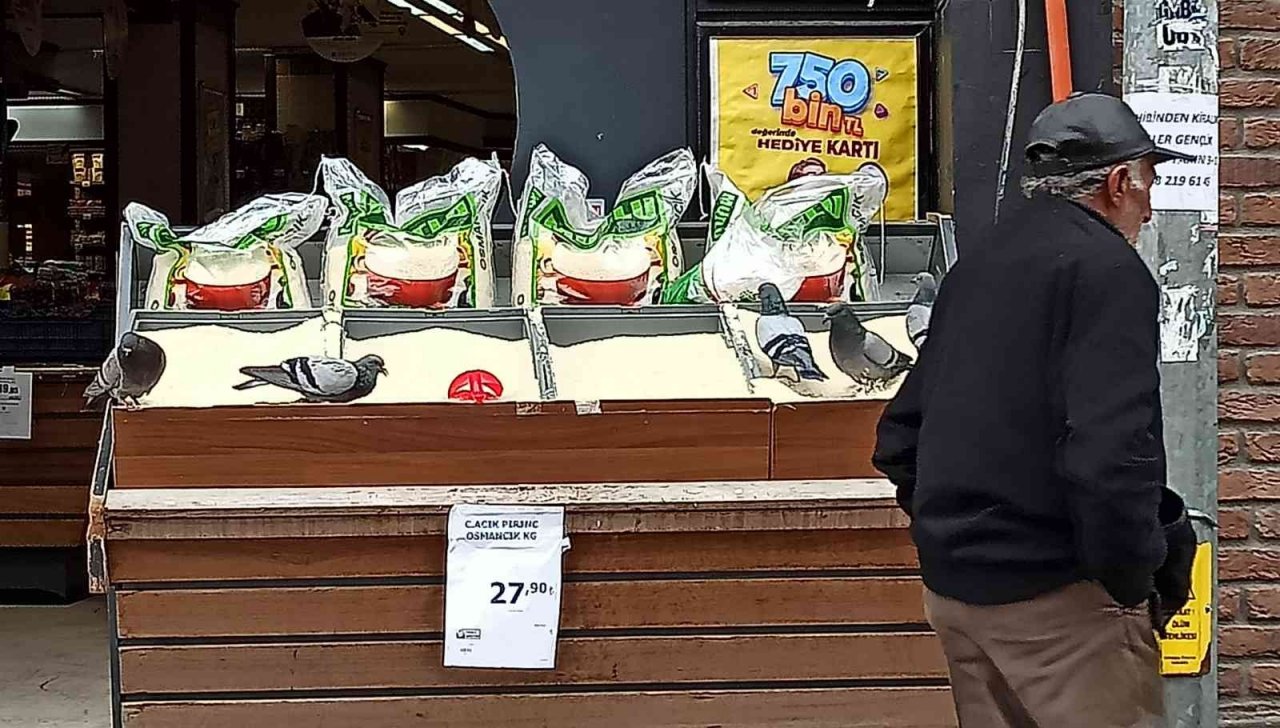 Güvercinlerin pirinç keyfi