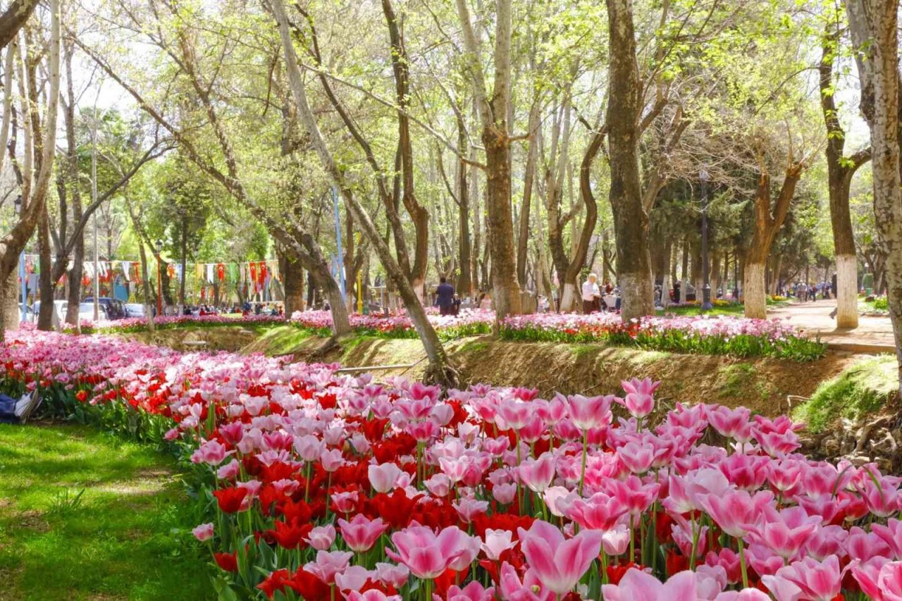 Gaziantep, “en sevilen şehir”