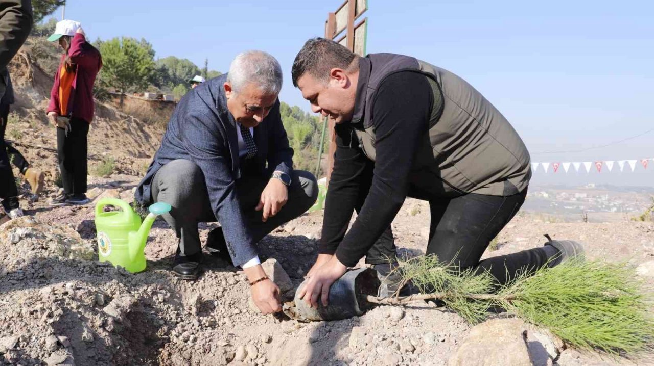 Gelecek için binlerce fidan diktiler