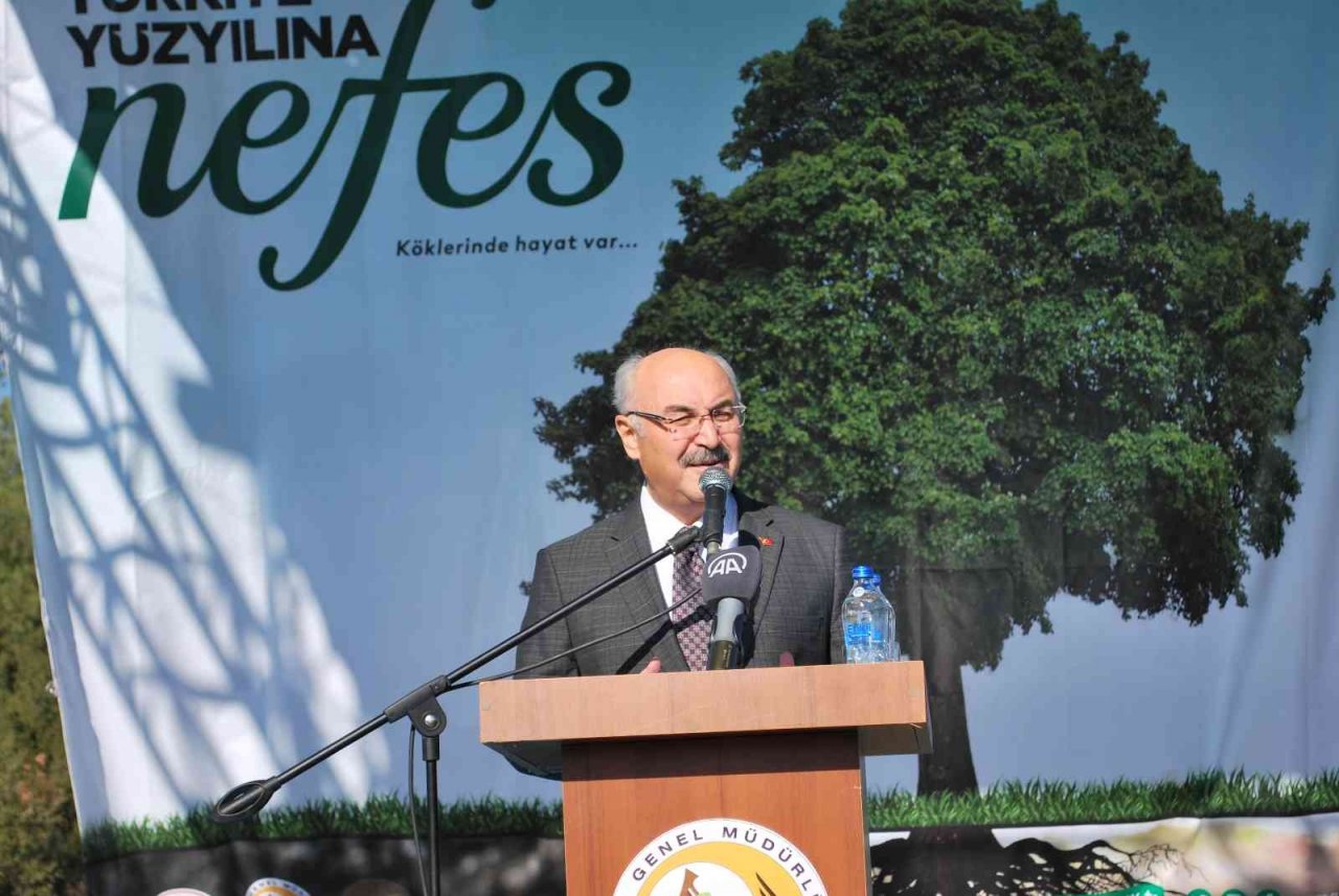 İzmir’de 42 bin fidan toprakla buluştu