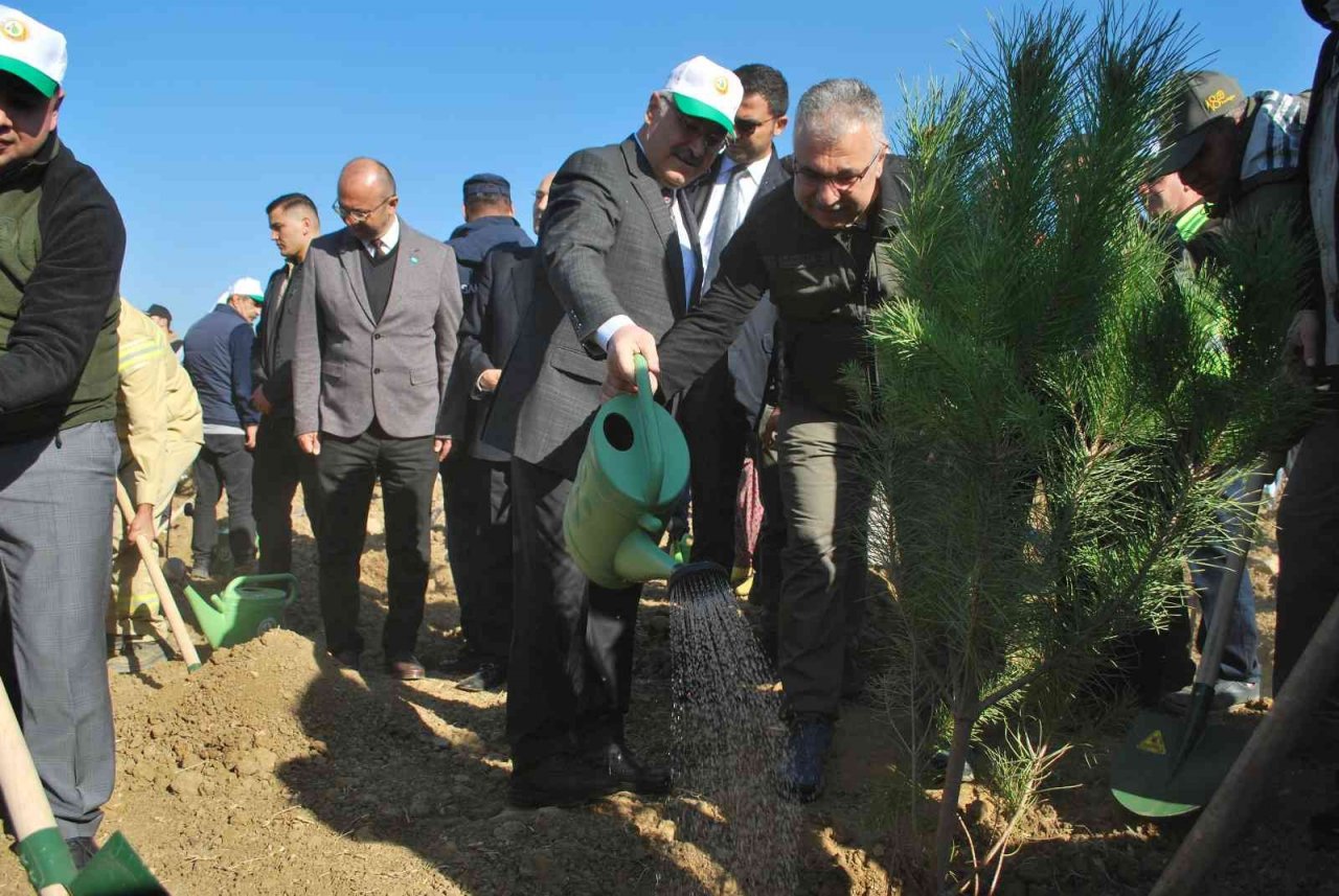 İzmir’de 42 bin fidan toprakla buluştu