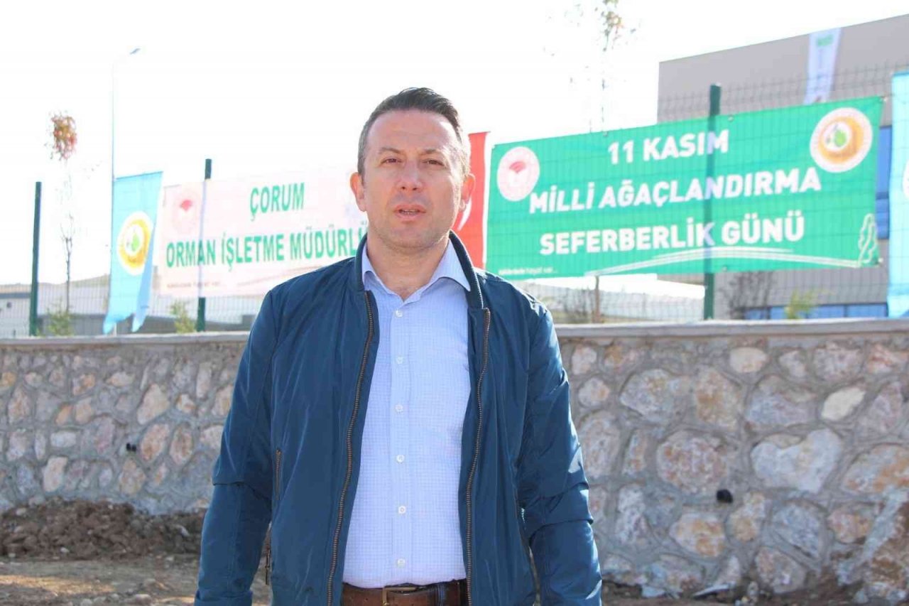 Sungurlu’da 800 fidan toprakla buluştu