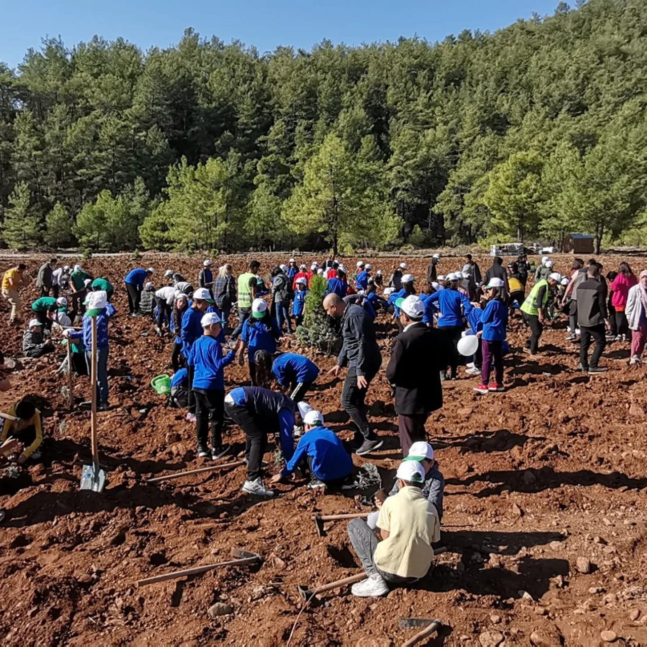 Köyceğiz’de Milli Ağaçlandırma Günü nedeniyle fidan dikildi