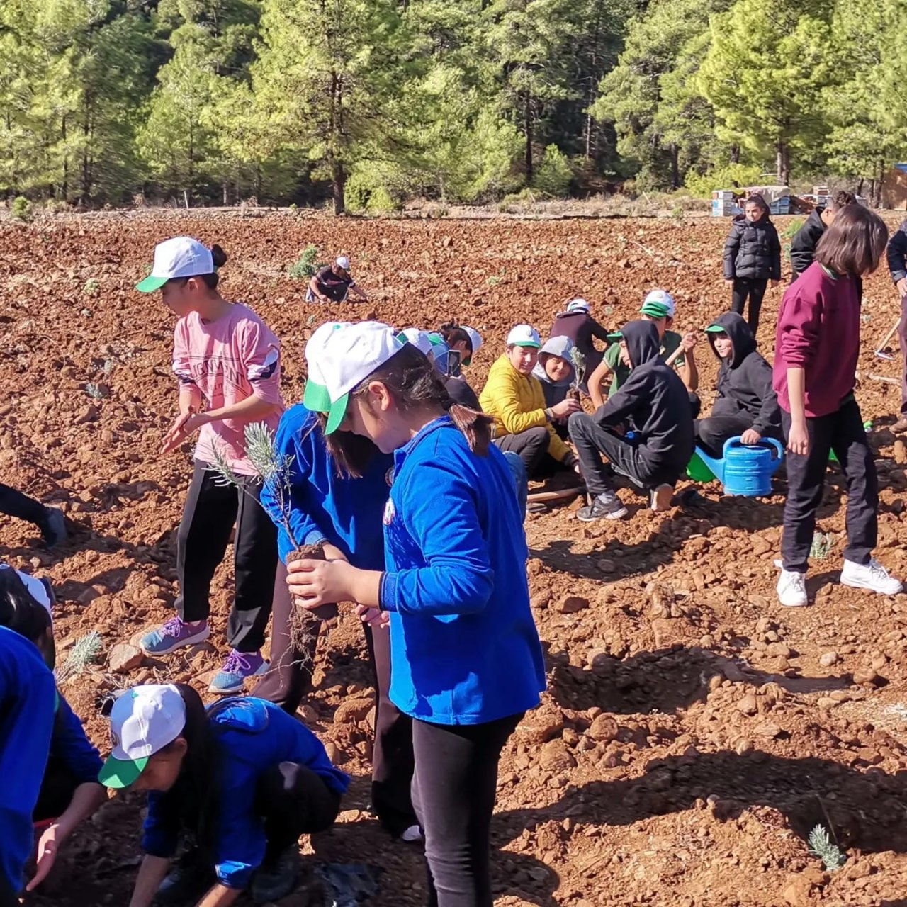 Köyceğiz’de Milli Ağaçlandırma Günü nedeniyle fidan dikildi