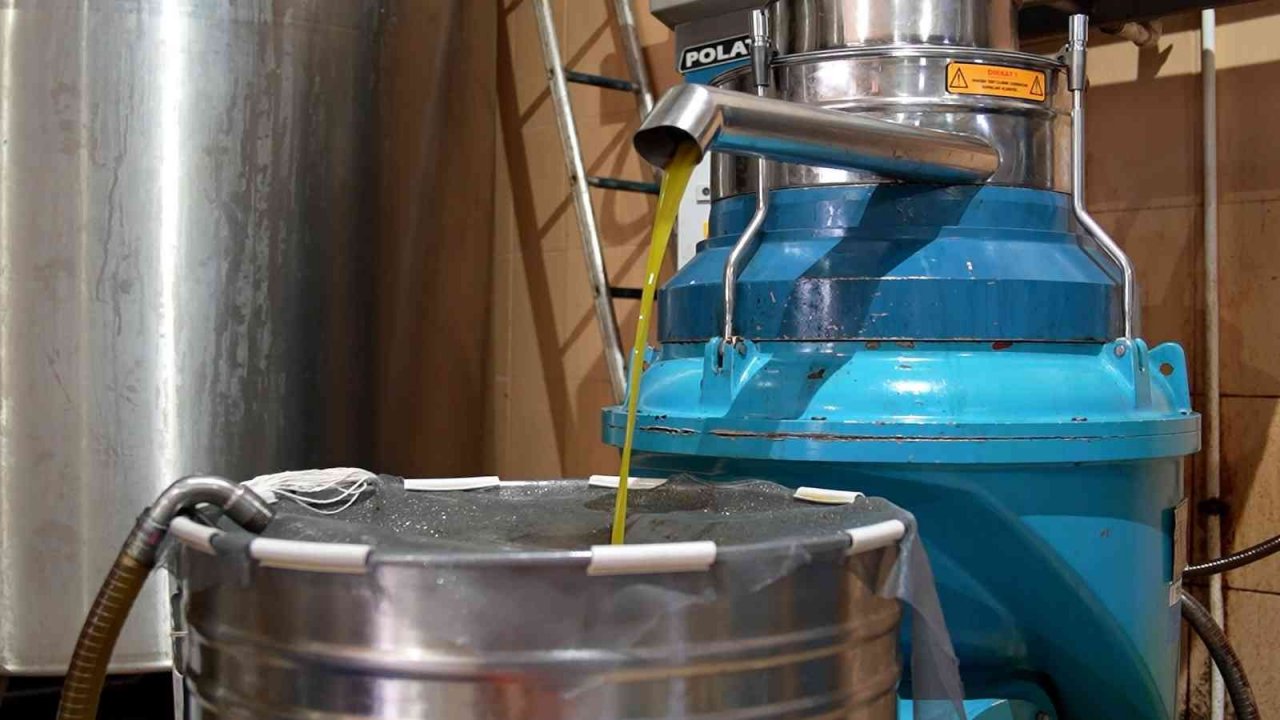 Tarsus Belediyesinden ucuz zeytinyağı