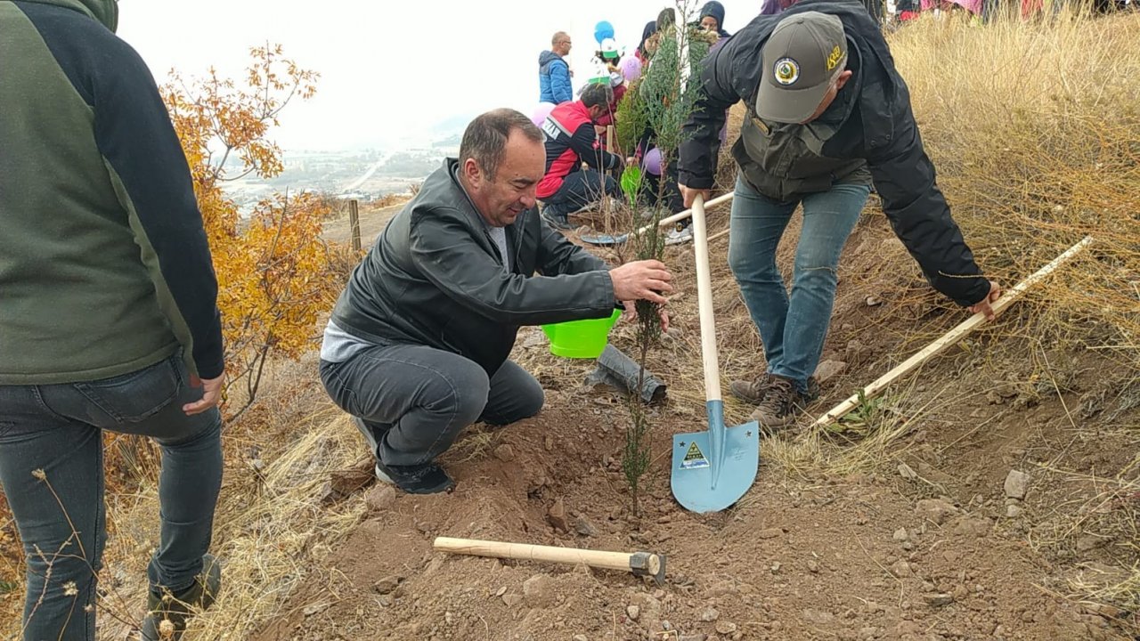 İskilip’te 500 fidan toprakla buluştu