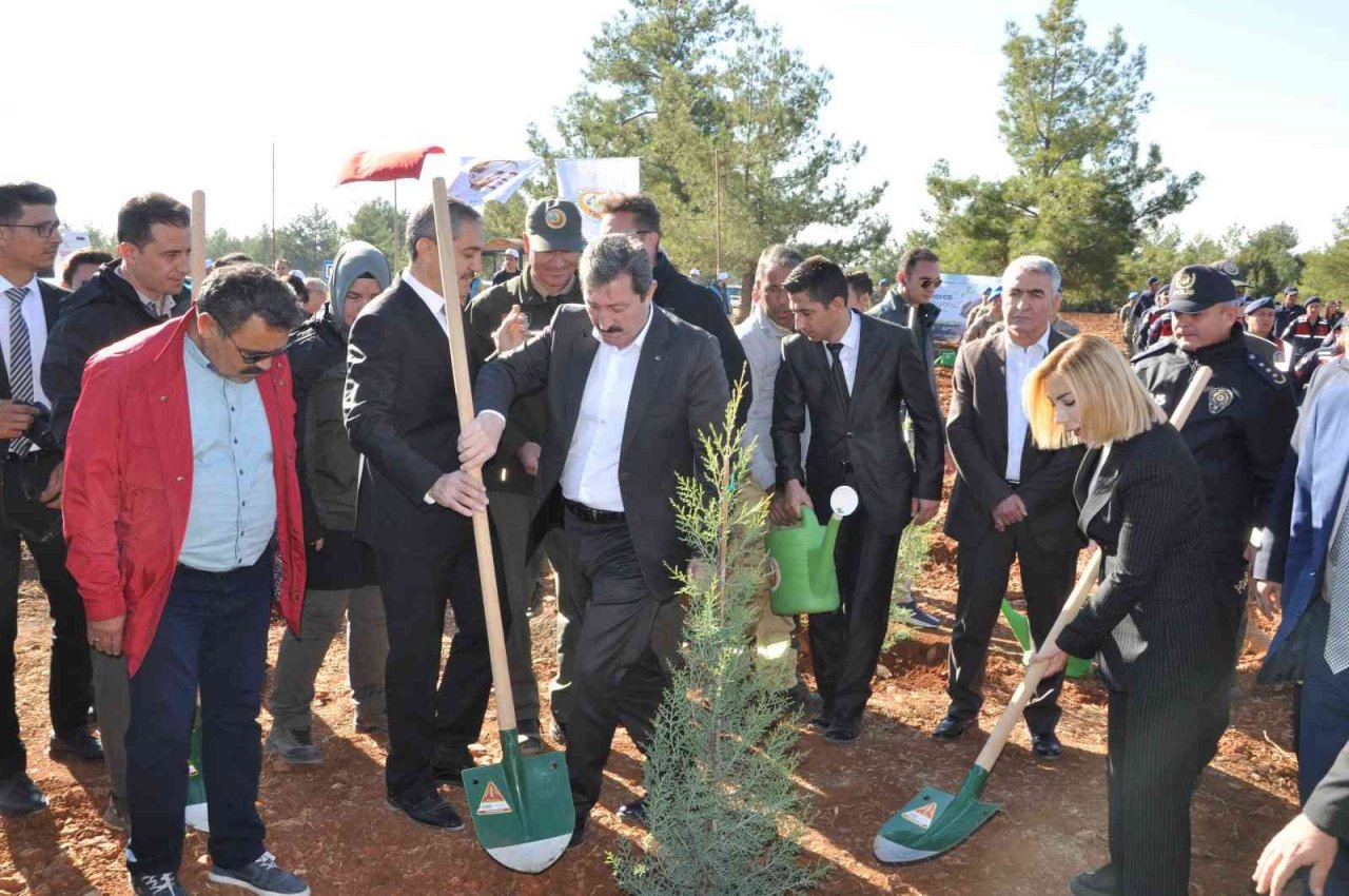 Muğla’da 253 bin fidan toprakla buluştu