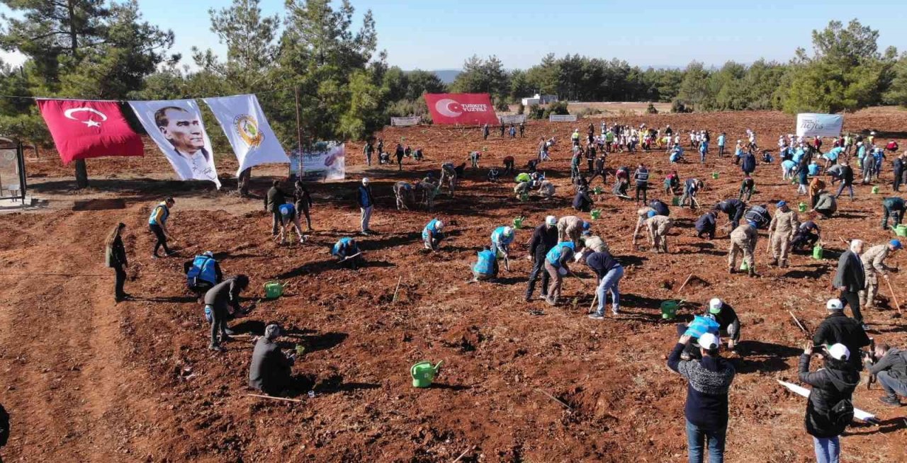 Muğla’da 253 bin fidan toprakla buluştu