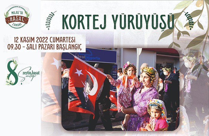 Milas’ta bu hafta sonu zeytin hasat şenliği düzenlenecek