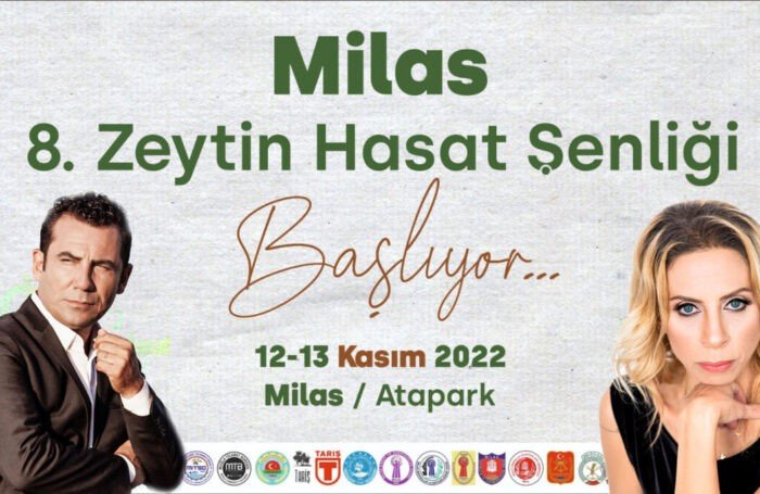 Milas’ta bu hafta sonu zeytin hasat şenliği düzenlenecek