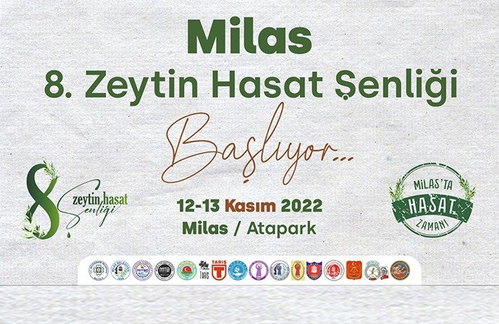 Milas’ta bu hafta sonu zeytin hasat şenliği düzenlenecek