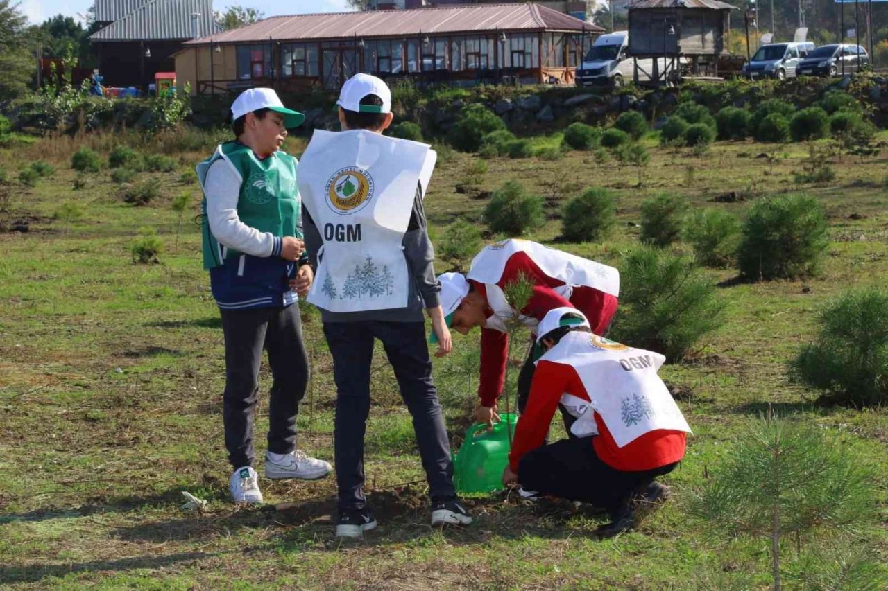 300 fıstık çamı toprakla buluştu