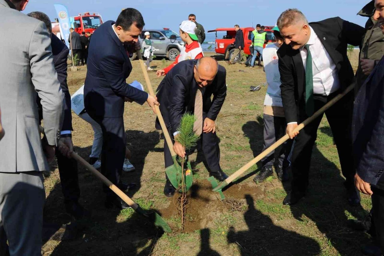 300 fıstık çamı toprakla buluştu