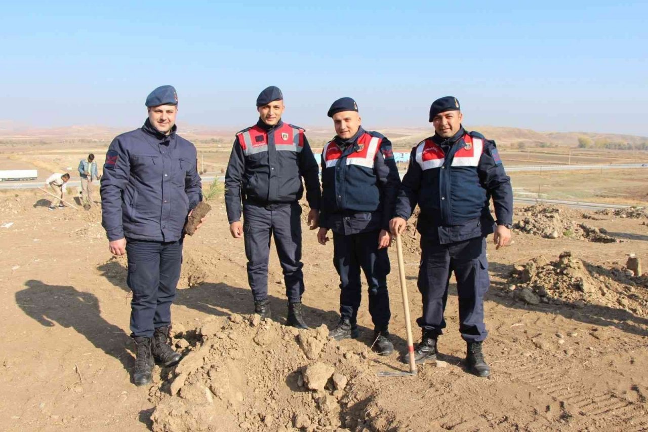 Sungurlu’da 800 fidan toprakla buluştu