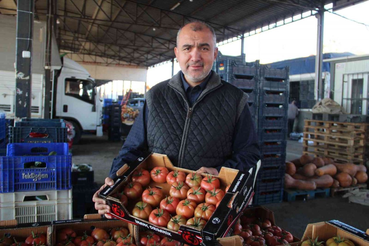 Antalya’da kış dönemi örtü altı hasadı başladı, 15 Kasım’dan itibaren ürün bollaşacak