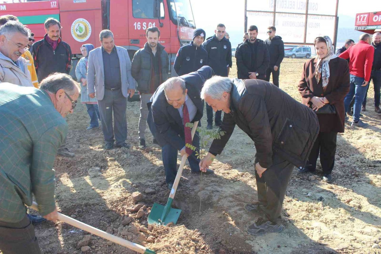 Osmaneli’nde 2 bin akasya fidanı toprakla buluştu
