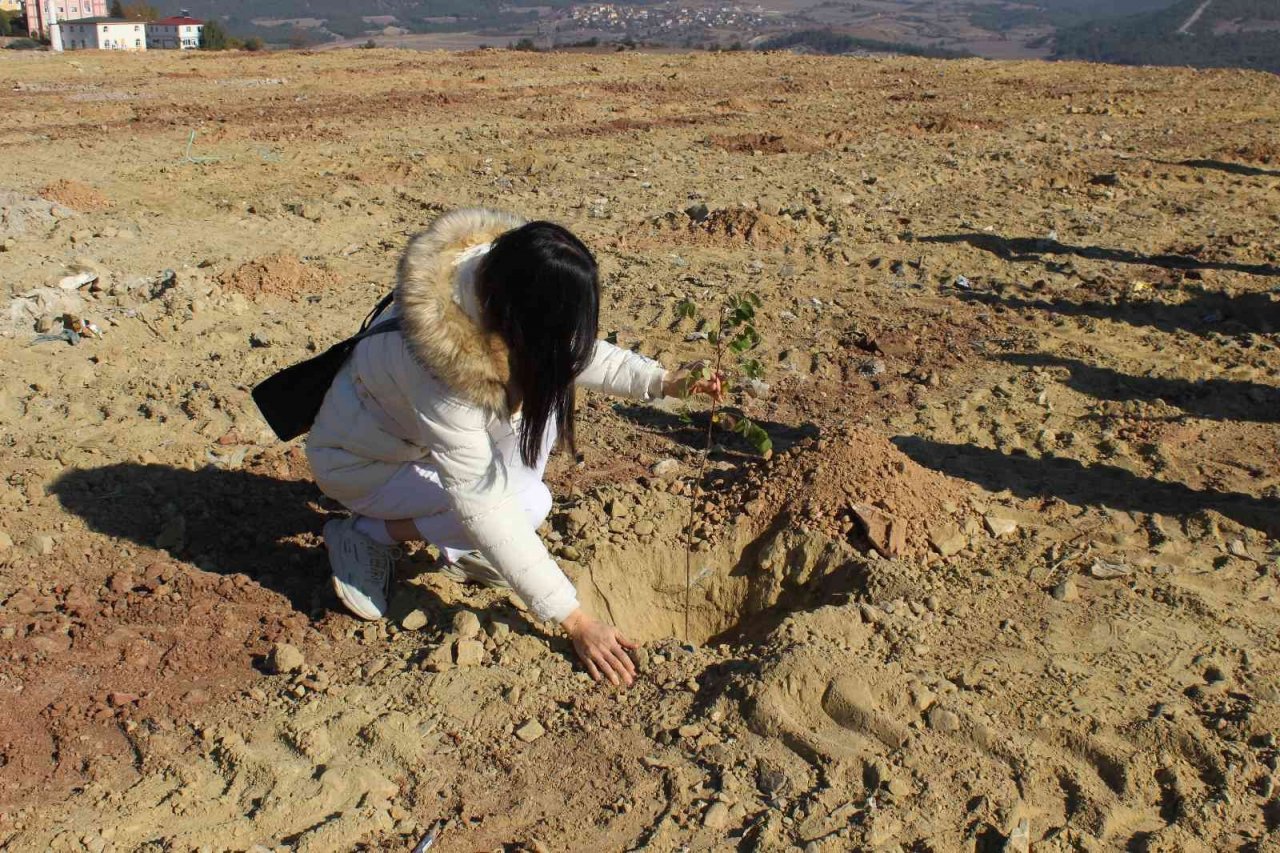 Osmaneli’nde 2 bin akasya fidanı toprakla buluştu