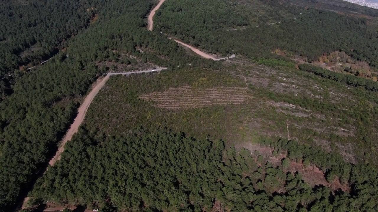 Pendik’te Aydos Ormanı’nda PKK’lı teröristin yaktığı ormanlık alanın son hali havadan görüntülendi