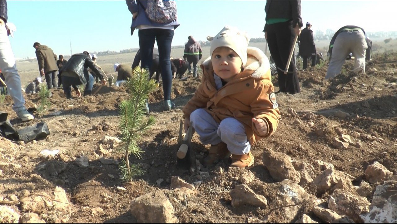 Eskişehir’de 49 bin fidan toprakla buluştu
