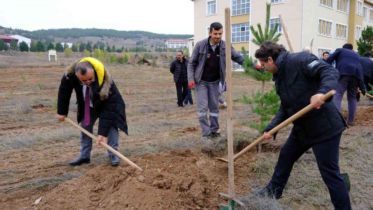 SCÜ’de onlarca fidan toprakla buluştu