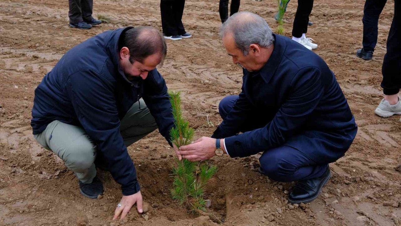 SCÜ’de onlarca fidan toprakla buluştu