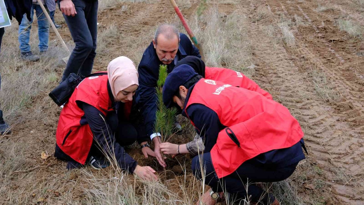 SCÜ’de onlarca fidan toprakla buluştu