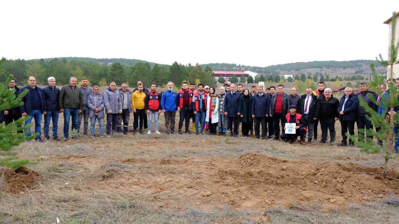 SCÜ’de onlarca fidan toprakla buluştu