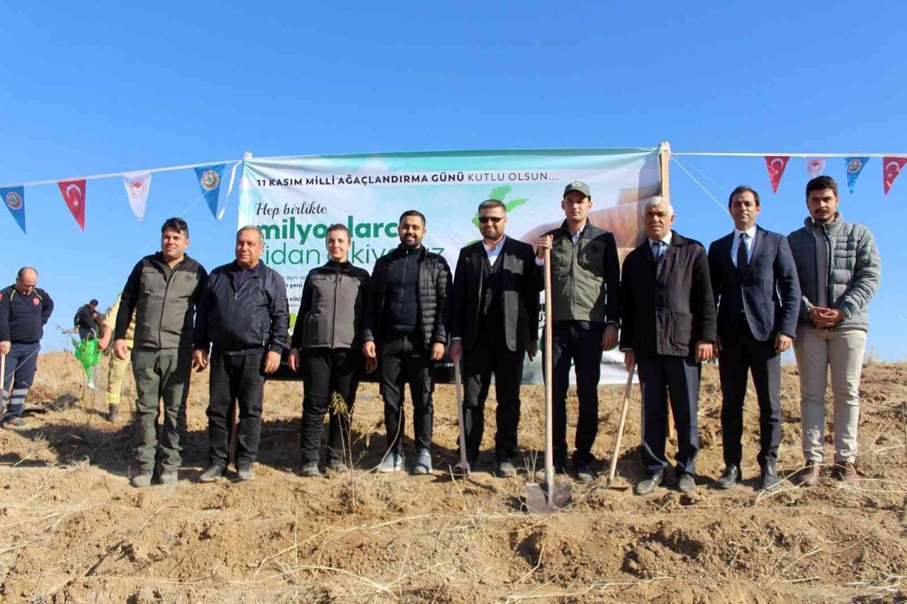 Çal’da geleceğe nefes için bin fidan dikildi