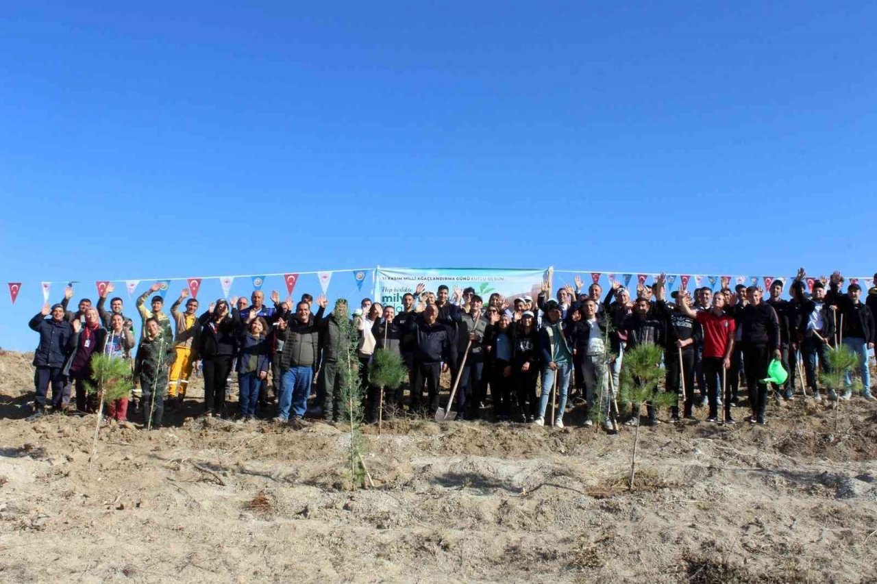 Çal’da geleceğe nefes için bin fidan dikildi
