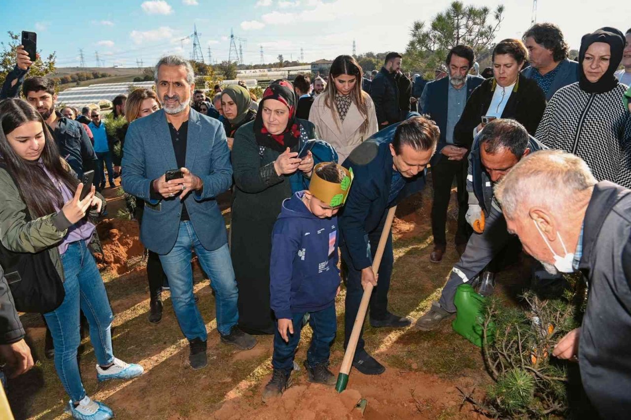 Tuzla’da Milli Ağaçlandırma Günü’nde şehit ve gaziler için ağaç dikildi