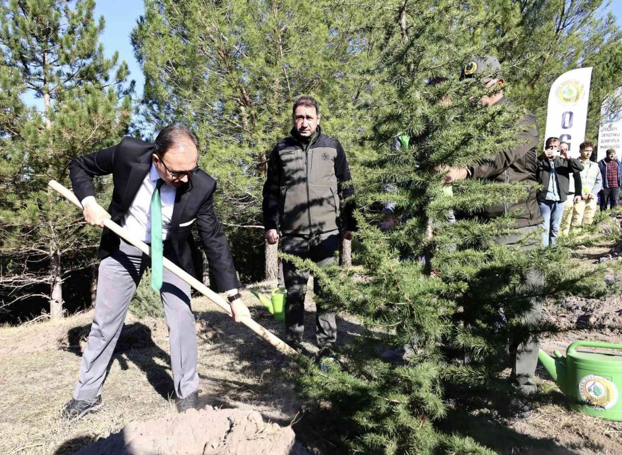 Fidanlar toprak ile buluşturuldu