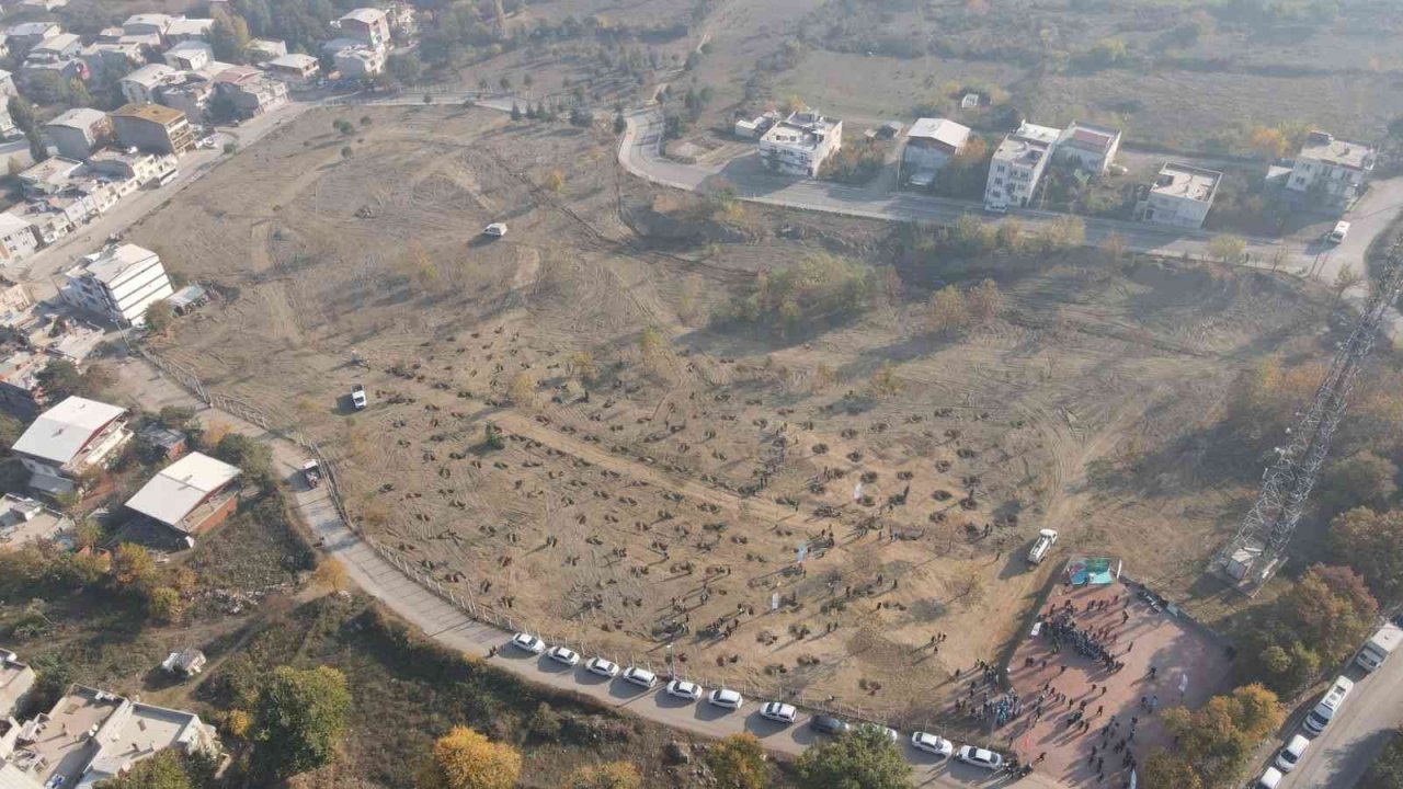 Yıldırım’da 225 bin 250 ağaç kurtarıldı