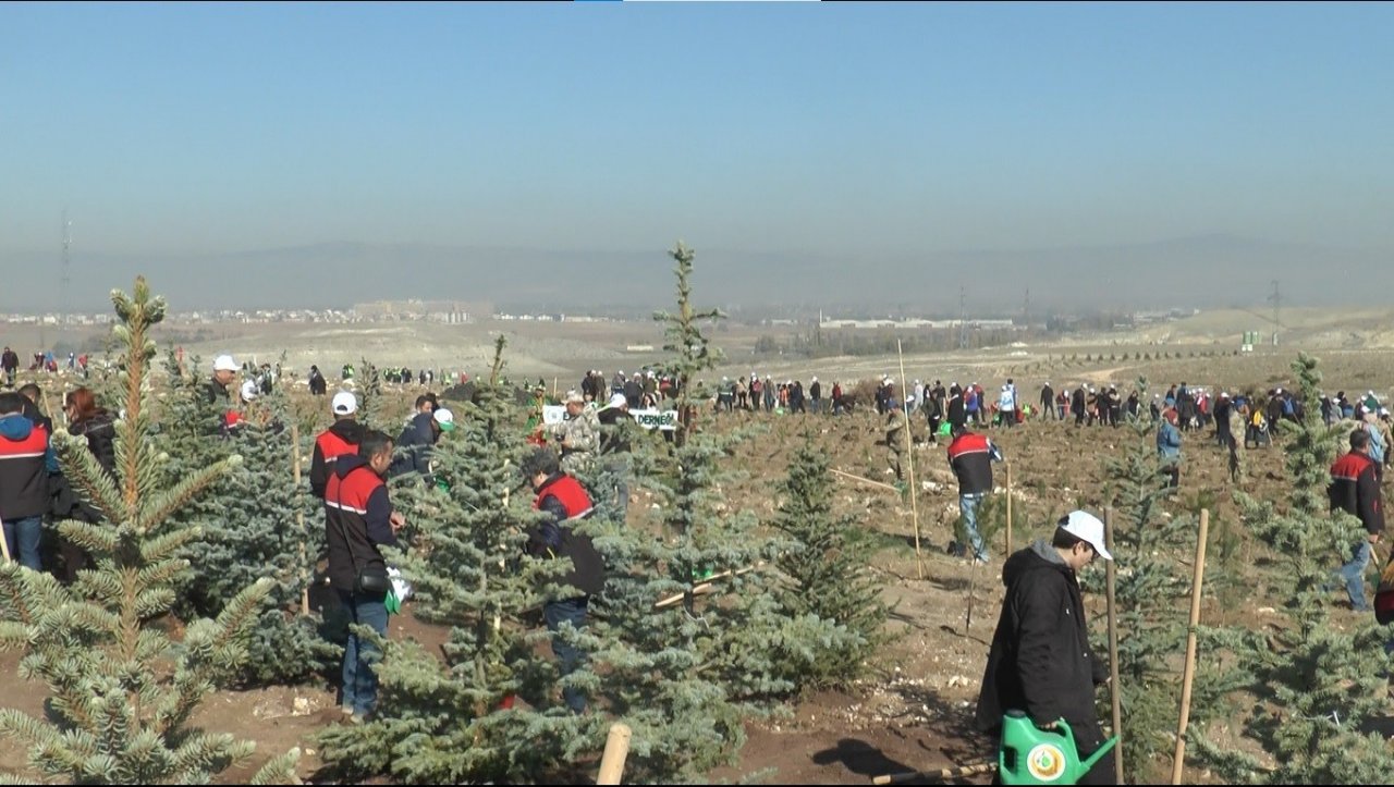 Eskişehir’de 49 bin fidan toprakla buluştu