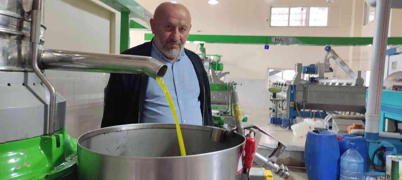 Zeytinyağına büyük talep...Üretimin yarısı ihracata gidiyor