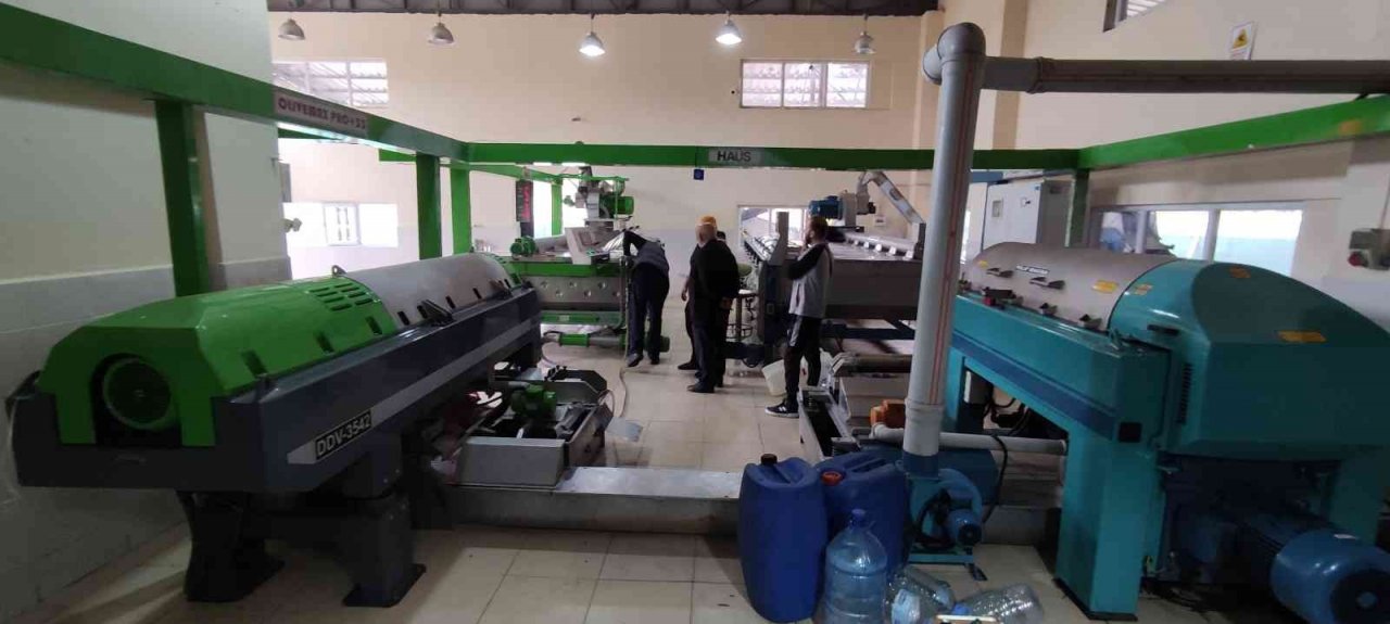 Zeytinyağına büyük talep...Üretimin yarısı ihracata gidiyor