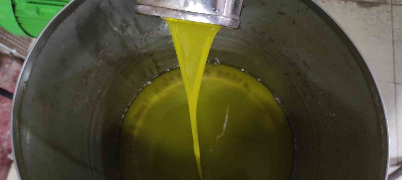 Zeytinyağına büyük talep...Üretimin yarısı ihracata gidiyor