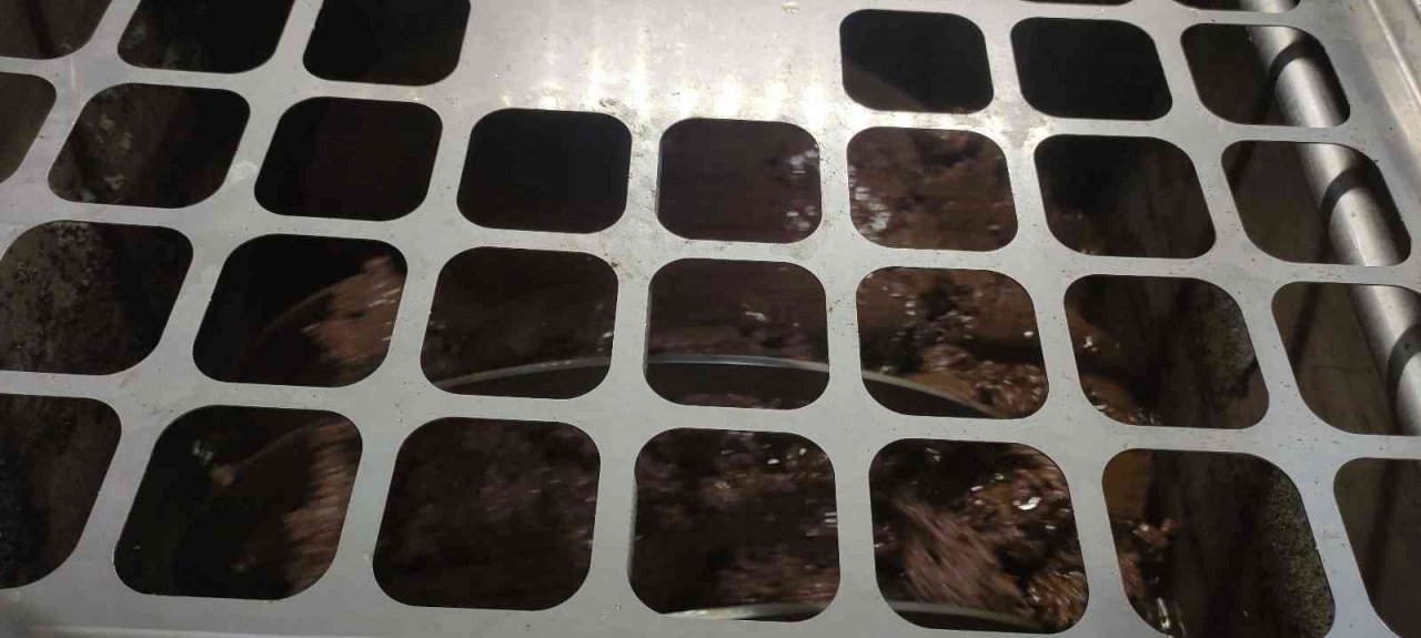 Zeytinyağına büyük talep...Üretimin yarısı ihracata gidiyor