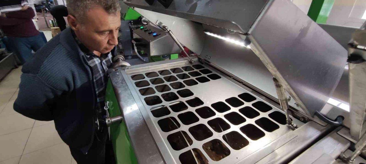 Zeytinyağına büyük talep...Üretimin yarısı ihracata gidiyor