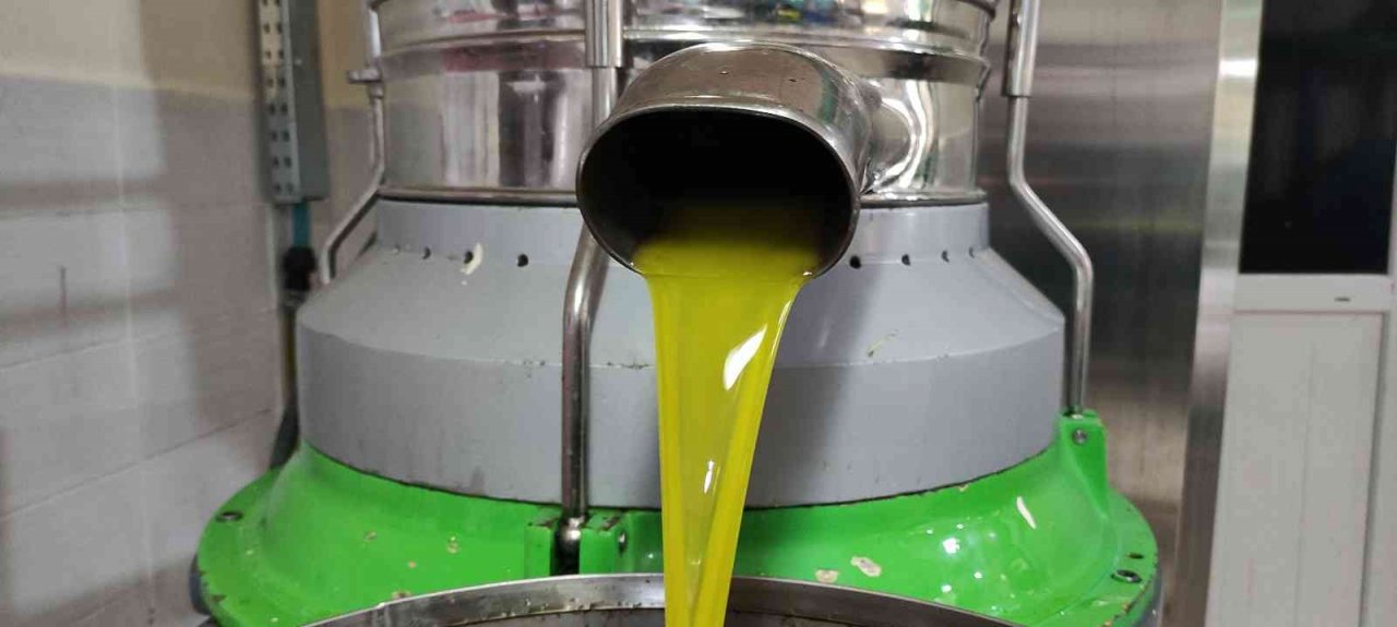 Zeytinyağına büyük talep...Üretimin yarısı ihracata gidiyor