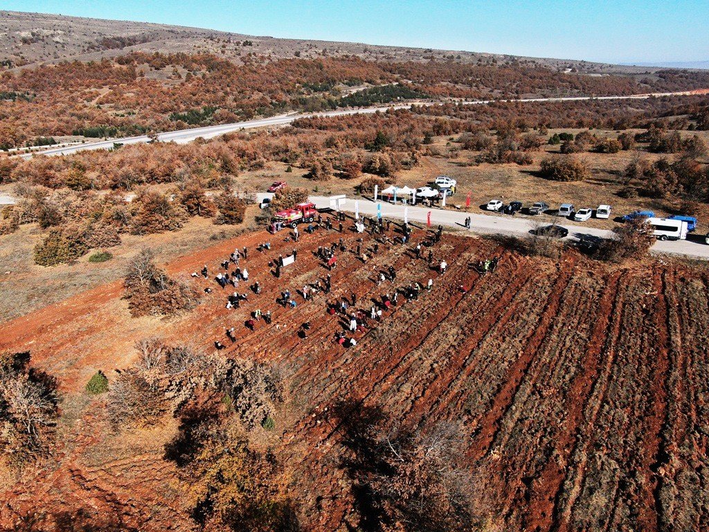 İnönü’de 5 bin fidan toprakla buluştu