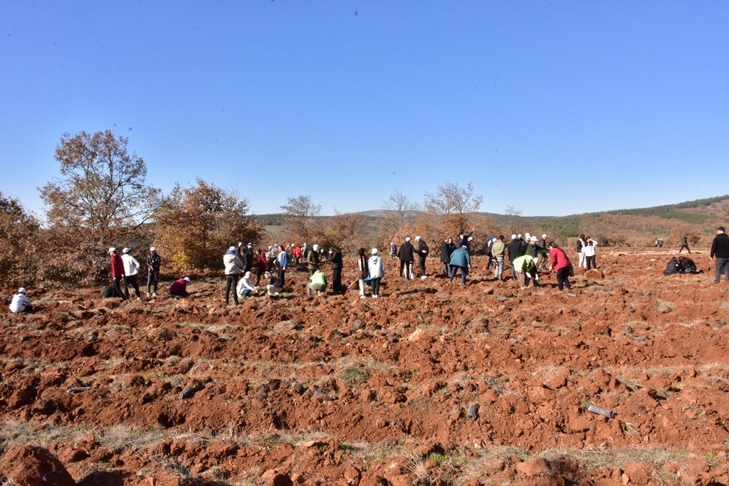 İnönü’de 5 bin fidan toprakla buluştu
