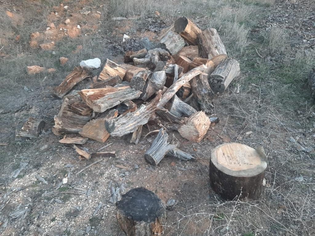 Ormanda kaçak odun kesen şahıs yakalandı