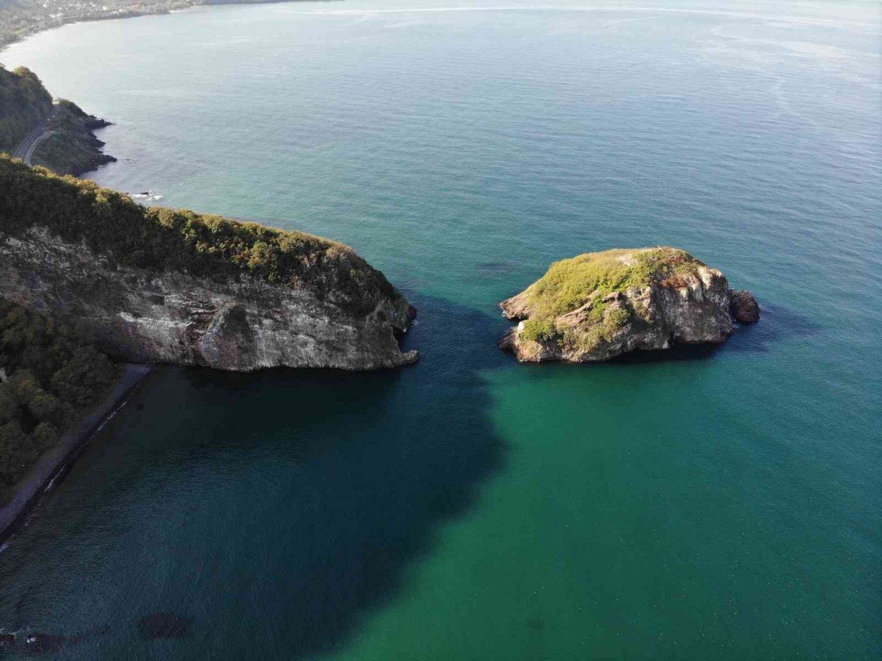 Ordu’nun kuş cenneti: Hoynat Adası