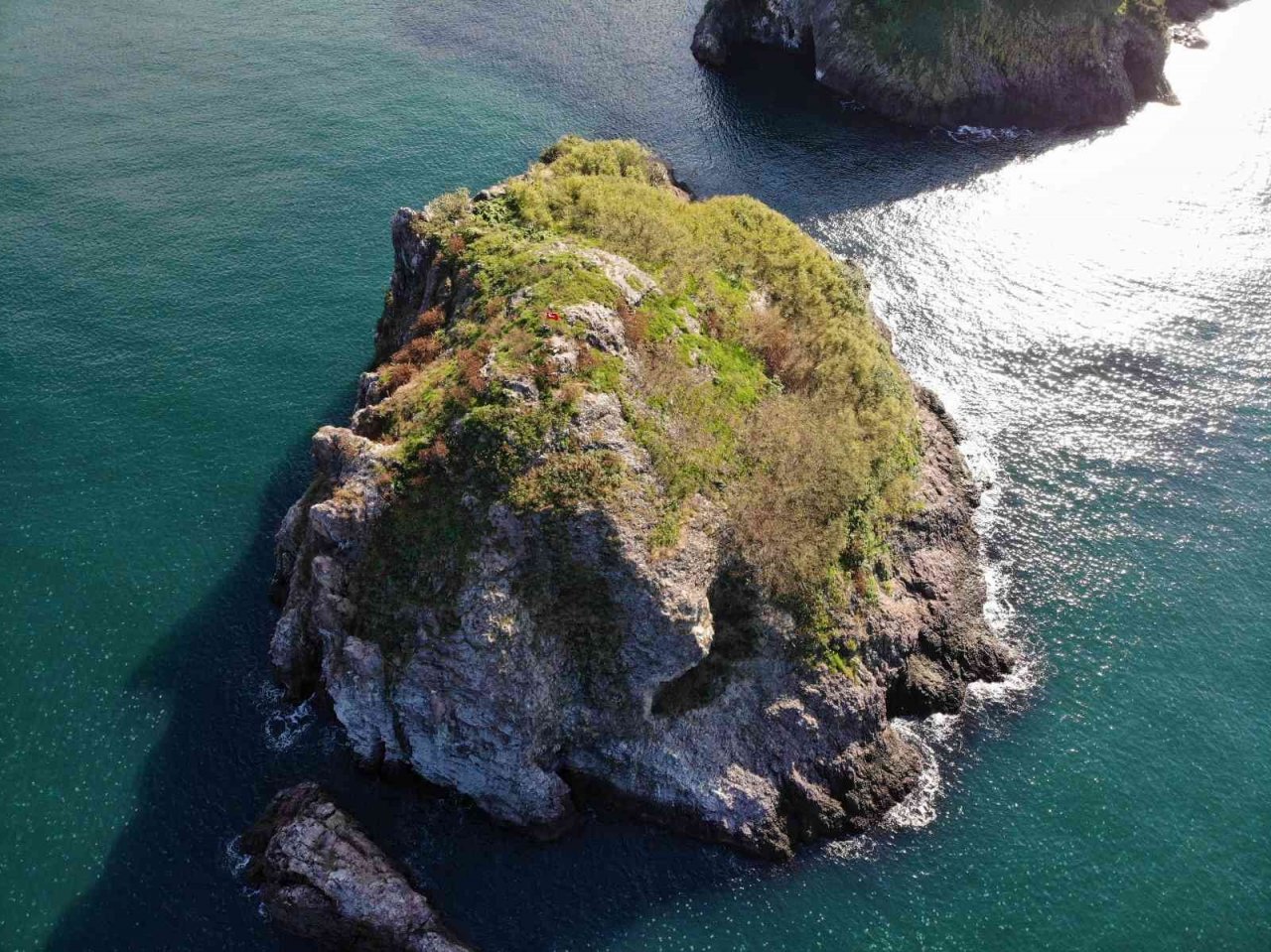 Ordu’nun kuş cenneti: Hoynat Adası