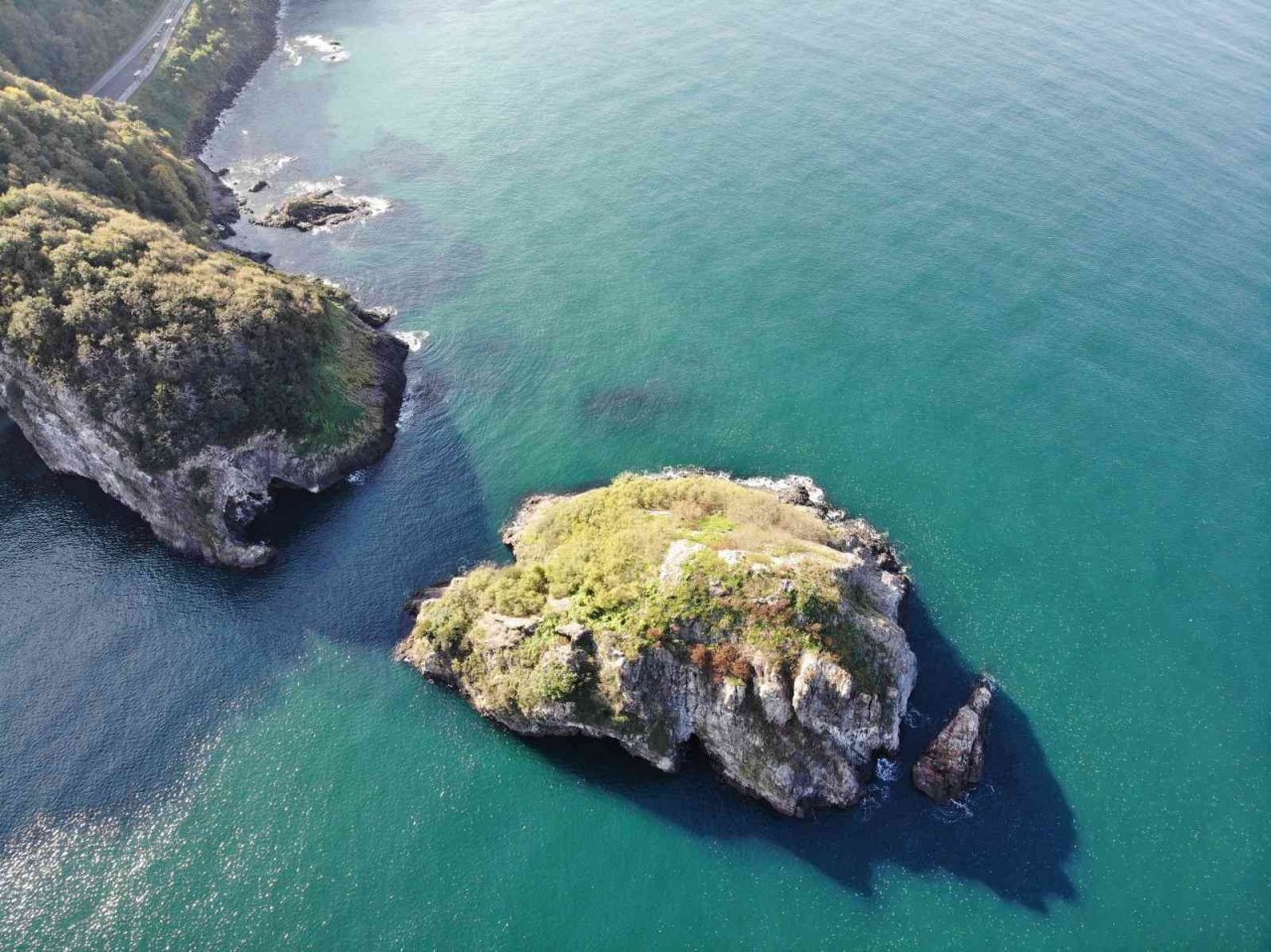 Ordu’nun kuş cenneti: Hoynat Adası